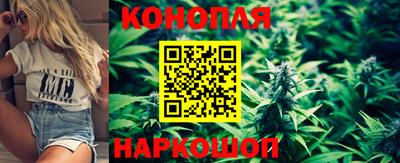ПСИЛОЦИБИНОВЫЕ ГРИБЫ Краснознаменск
