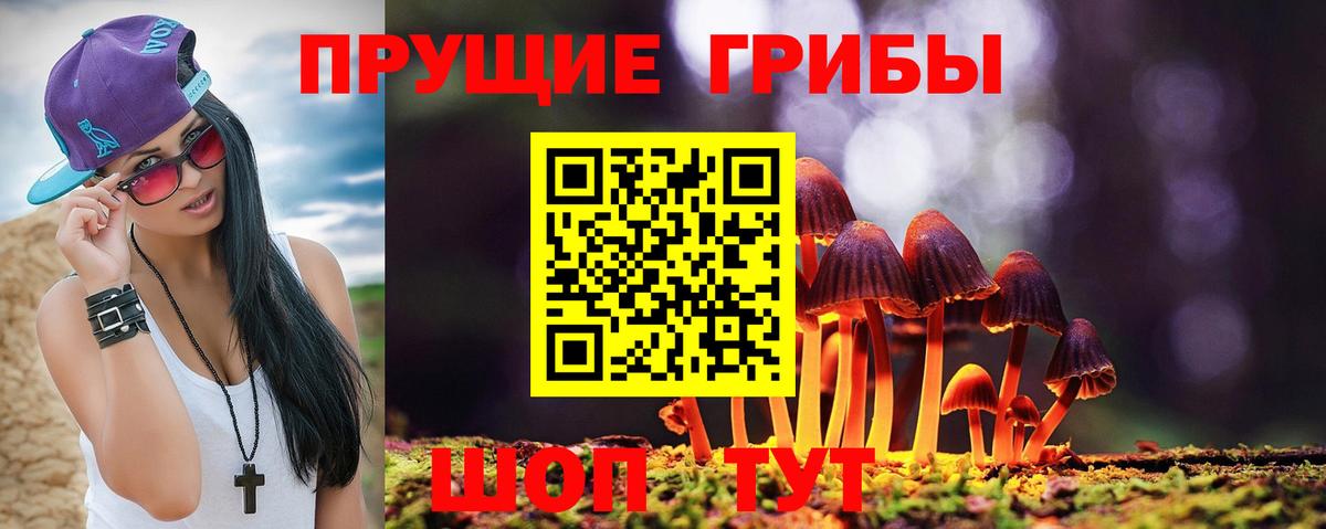 Псилоцибиновые грибы прущие грибы  Псилоцибиновые грибы GOLDEN TEACHER  Вход с VPN  даркнет сайт  Ишим 